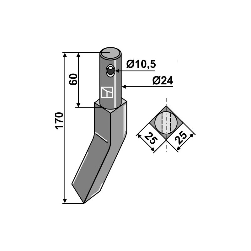 Dent rotative, modèle gauche - AG000034