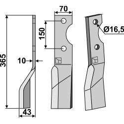 Dent rotative, modèle gauche - AG001516
