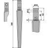 Dent pour herses rotatives - Pegoraro - 003981-01