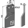 Dent rotative 182x80mm, droit - Maschio / Gaspardo
