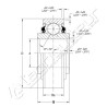 Roulement à billes BB203KRR2FD