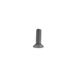 Boulon à 6 pan creux M6x1x20