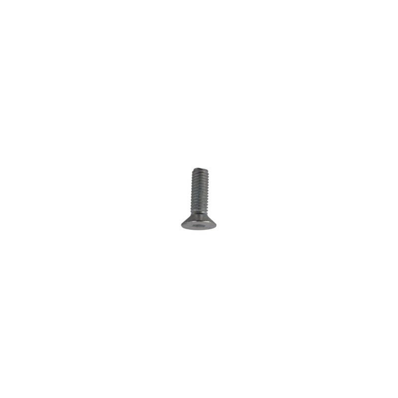 Boulon à 6 pan creux M6x1x20