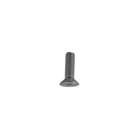 Boulon à 6 pan creux M6x1x20