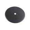 Disque de semoir Ø300x2 - Fiona - 4.137.003