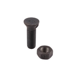Boulon de charrue DIN11014 M20x2,5x65 avec écrou hexagonal