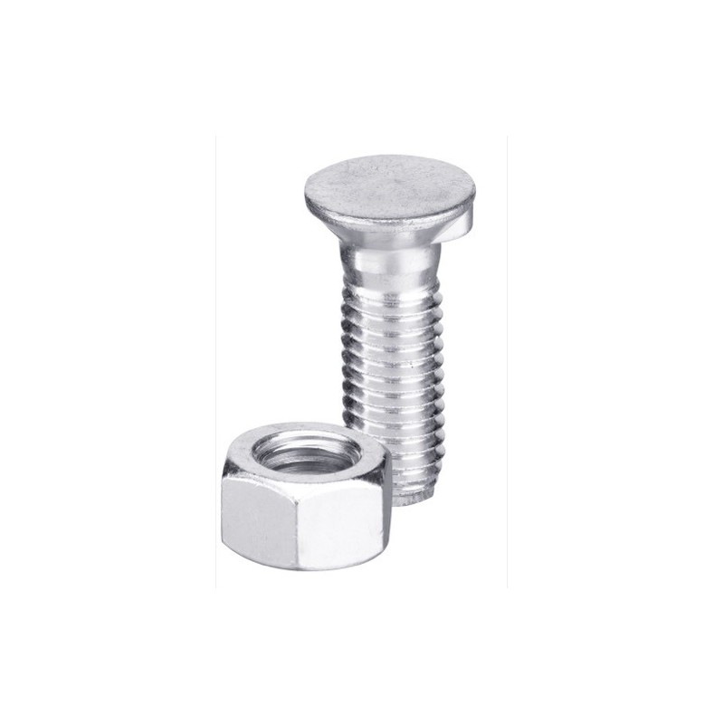 Boulon de charrue DIN 604 M20x2,5x100 et écrou hexagonal