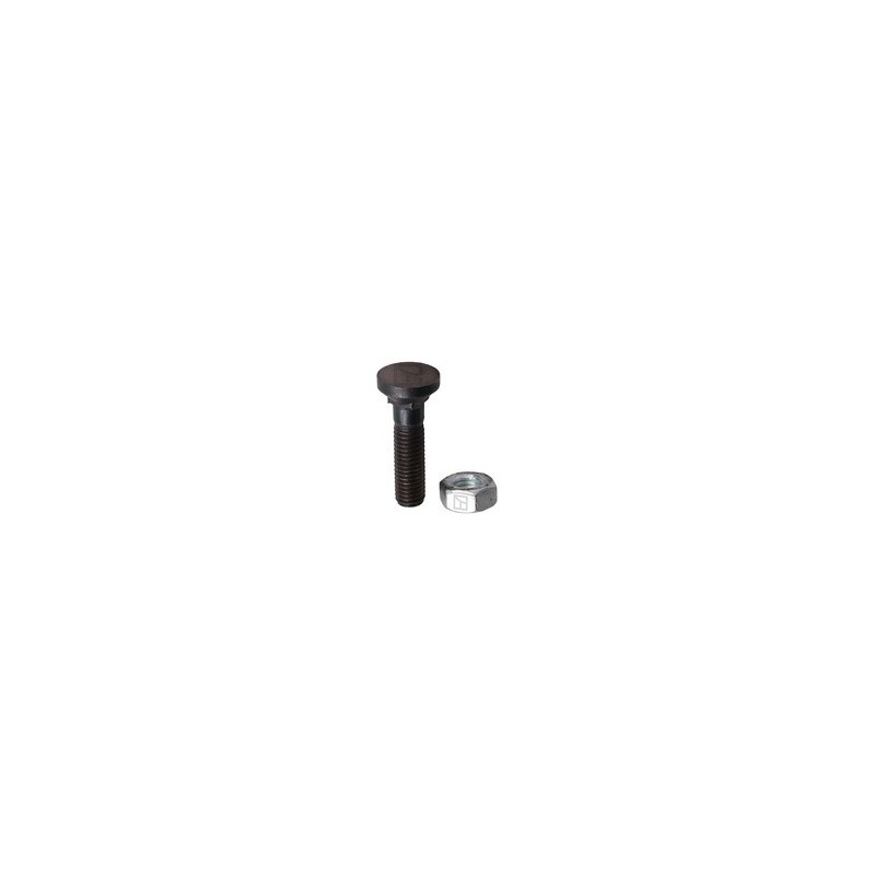 Boulon de charrue M10x1,5x45 et écrou hexagonal - Lemken - 3015722