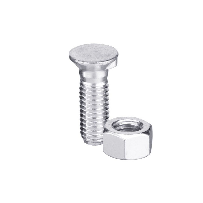 Boulon de charrue DIN 604 M10x1,5x100 et écrou hexagonal