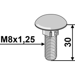 Boulon à tête bombée M8x1,25x30 - galvanisé