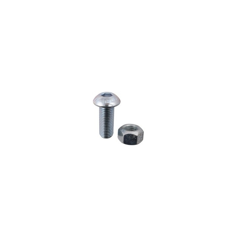 Boulon à tête bombée avec six pans creux M16x2x40 avec écrou à freinage interne