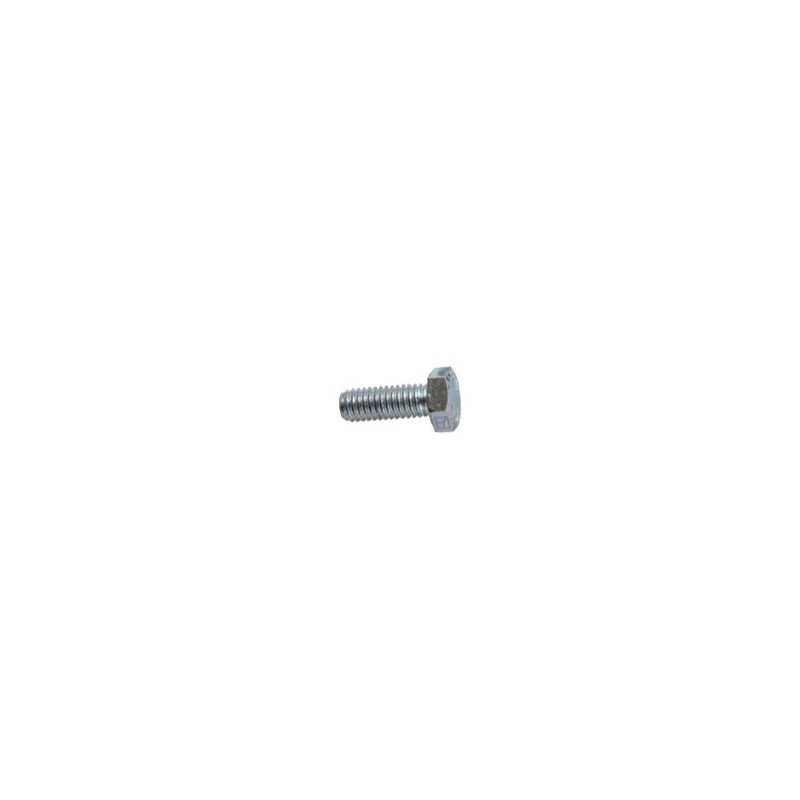 Boulon à tête hexagonal M6x1x16 sans écrou - galvanisée - Storti - 90101170
