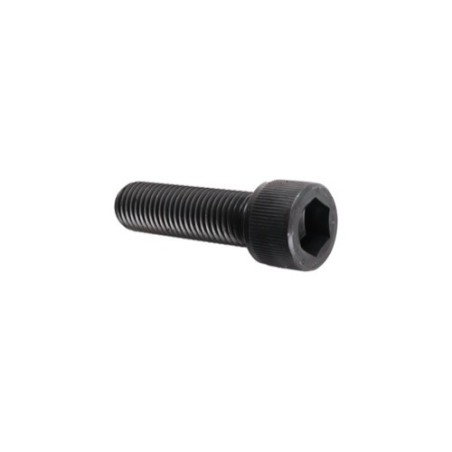 Boulon à 6 pans creux - M16x2x55 - 12.9