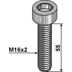 Boulon à 6 pans creux - M16x2x55 - 12.9