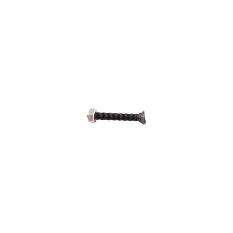 Boulon de cultivateur - M10x70 - 10.9