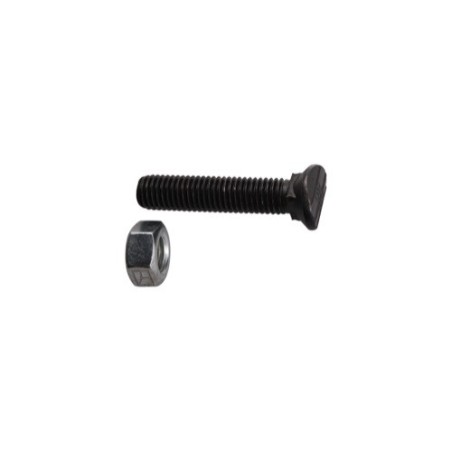 Boulon de cultivateur - M12x60 - 10.9