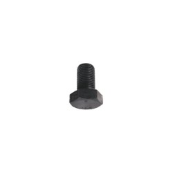Boulon M12x1,25