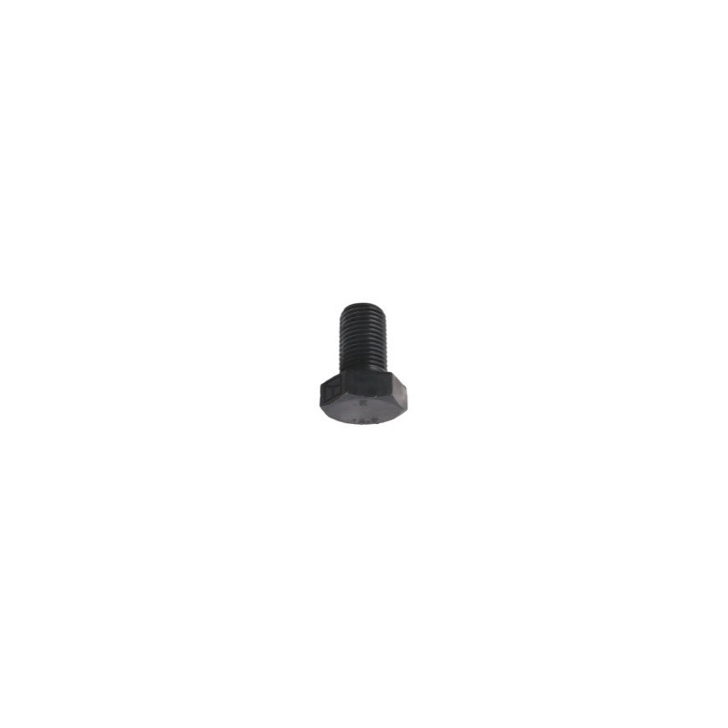 Boulon M12x1,25