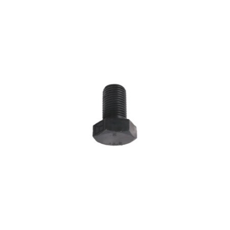 Boulon M12x1,25