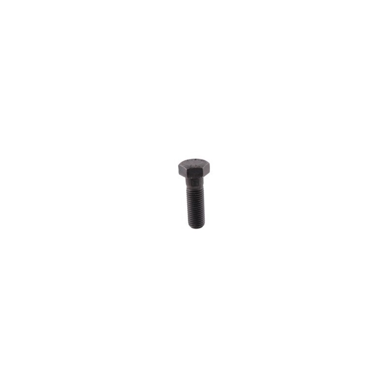 Boulon à tête hexagonale M20x2,5x65 sans écrou