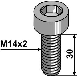 Boulon à 6 pans creux - M14x2 - 10.9