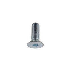 Boulon ISO10642 galvanisé