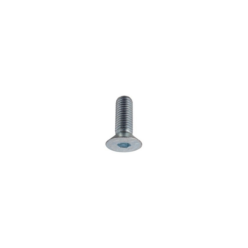 Boulon ISO10642 galvanisé