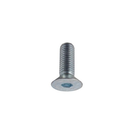 Boulon ISO10642 galvanisé