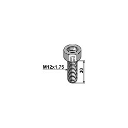 Boulon à 6 pans creux - M12x1,75 - 10.9