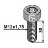 Boulon à 6 pans creux - M12x1,75 - 10.9
