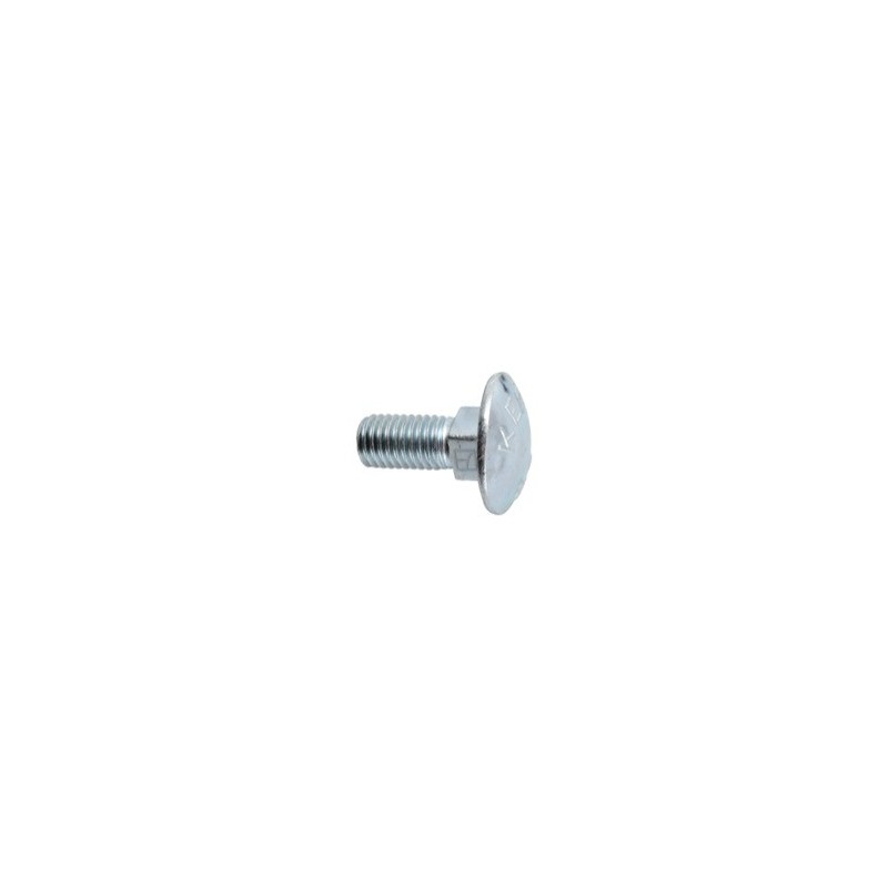 Boulon à tête bombée M12x1,75x30 - galvanisé