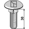 Boulon à tête bombée M12x1,75x30 - galvanisé