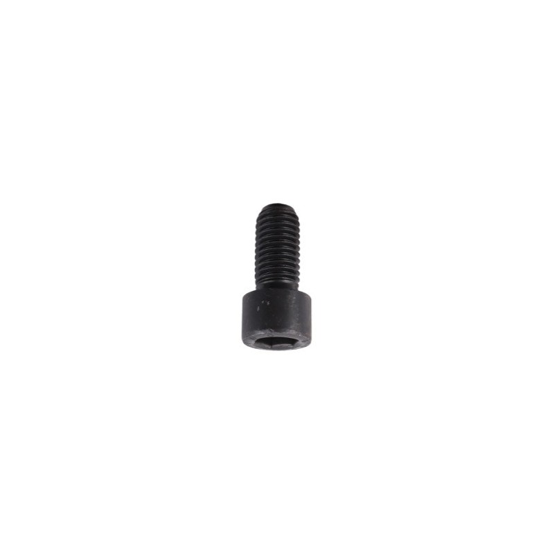 Boulon à 6 pans creux M12x1,75x25 - Röll