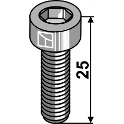 Boulon à 6 pans creux M12x1,75x25 - Röll