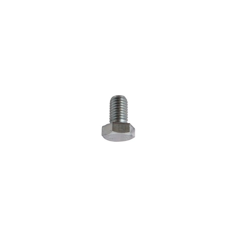 Boulon à tête hexagonal M12x1,75x20 sans écrou - galvanisée