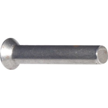 Rivet à tête fraisée Ø6x30