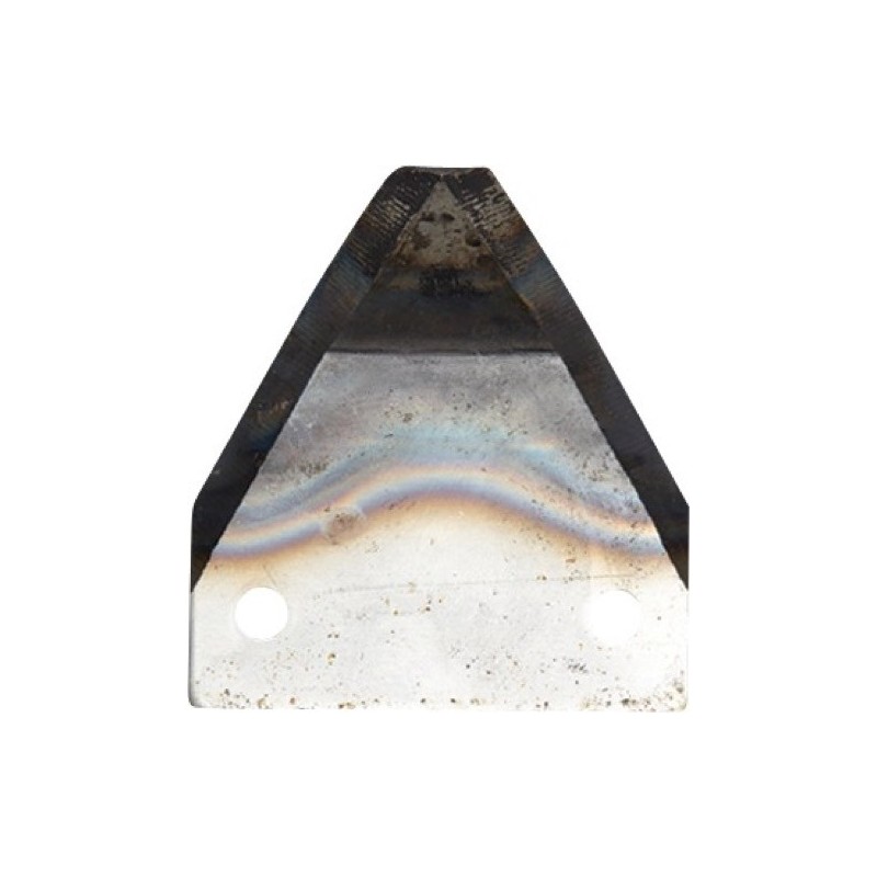 Couteau pour mélangeurs de fourrage - Luclar - 011099-SG-1