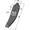 Pointe - Amazone / BBG - 78708734
