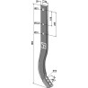 Dent Jumbo