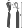 Couteau-fanes - Rumptstad - 007809