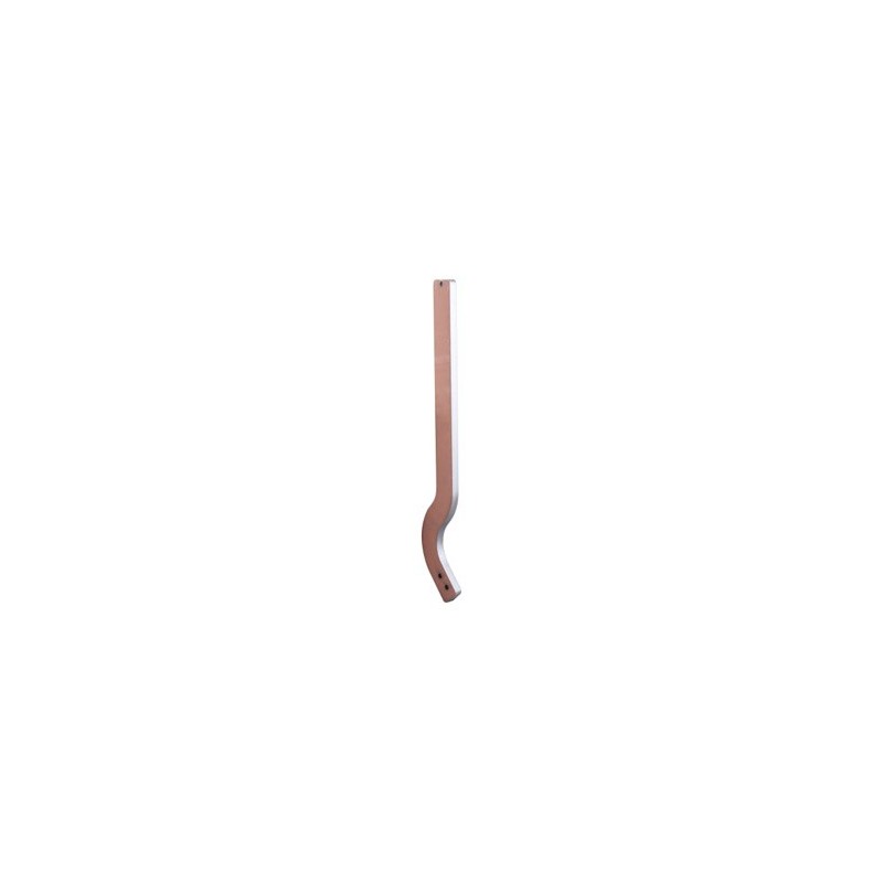 Dent - Rau - 1276