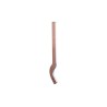 Dent - Rau - 1276