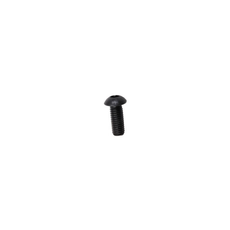Boulon à tête bombée M8x1,25x20 avec six pans creux