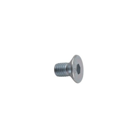 Boulon à six pan creux M12x1,75x20