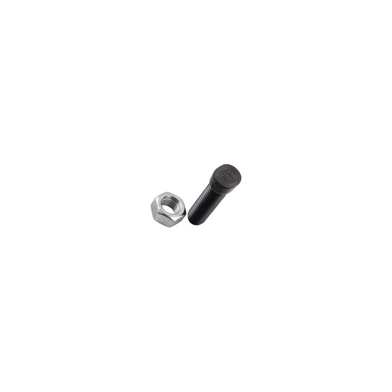 Boulon de charrue M12x1,75x45 avec écrou hexagonal - Rabe - 27.00.41.15
