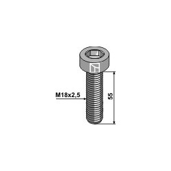 Boulon à 6 pans creux - M18x2,5 - 12.9