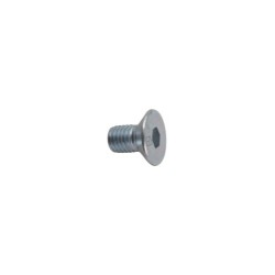 Boulon à six pan creux M12x1,75x20