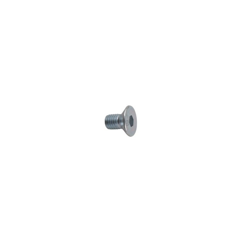 Boulon à six pan creux M12x1,75x20