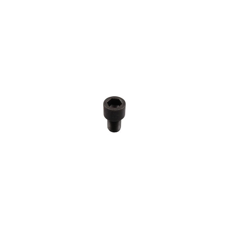 Boulon à 6 pans creux - M20x2,5 - 10.9 - Celli - 422003