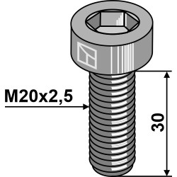 Boulon à 6 pans creux - M20x2,5 - 10.9 - Celli - 422003